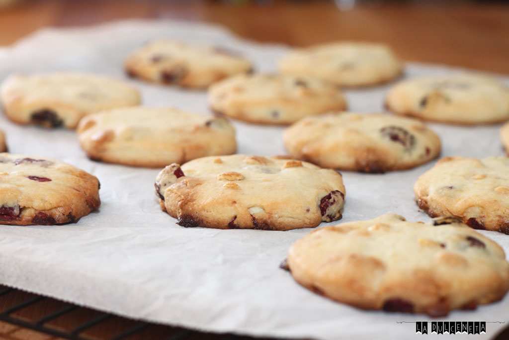 galletas-arandanos-choco-blanco-4