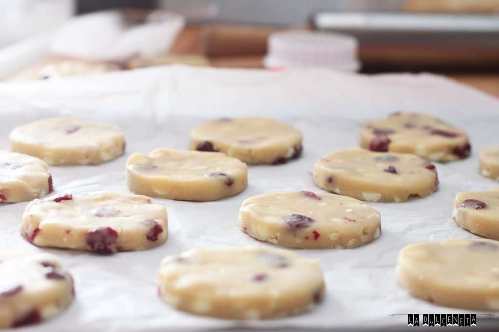 galletas-arandanos-choco-blanco-8