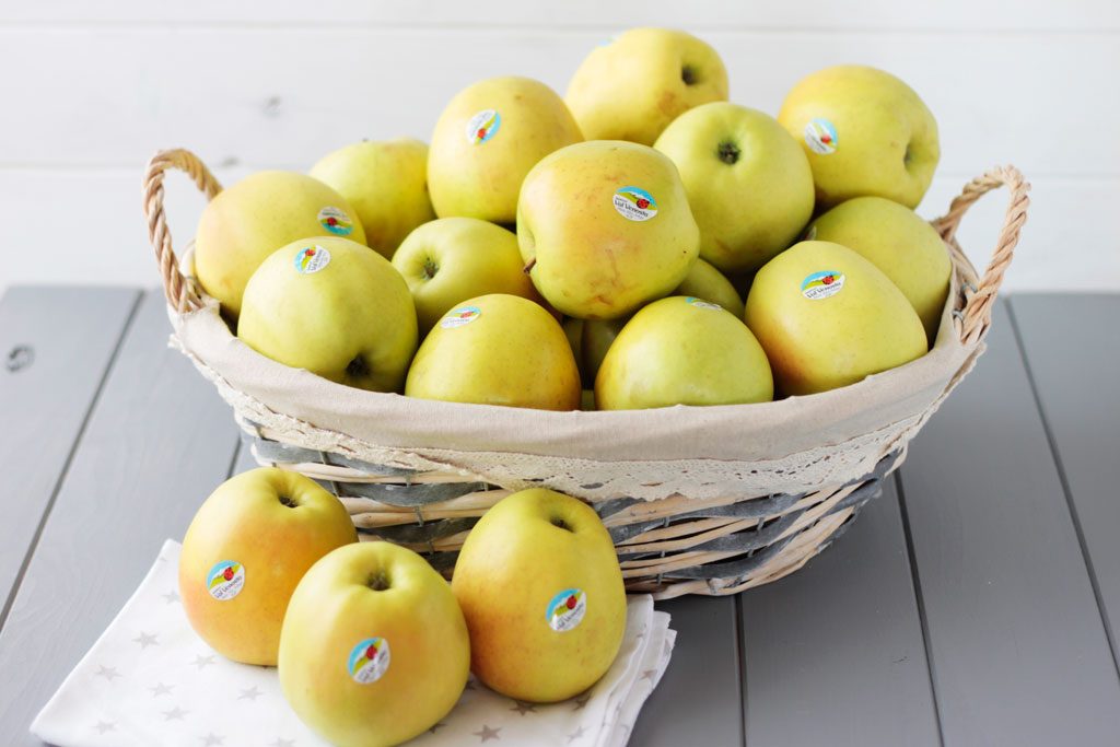 bizcocho de manzana y frutas del bosque